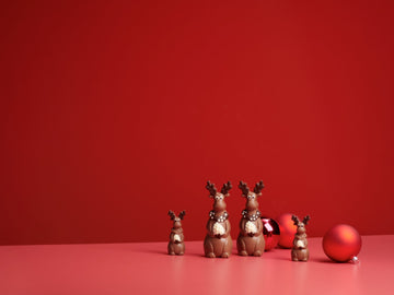 Christmas Collection